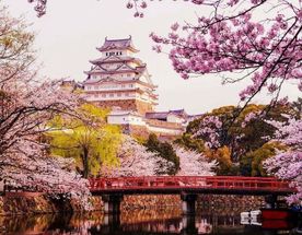 Япония в объятиях сакуры.Premium тур.