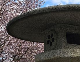 Японская весна в Петербурге