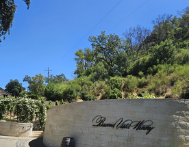 В Саусалито и Соному — из Сан-Франциско