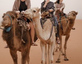 На стыке Европы и Африки. Марокко