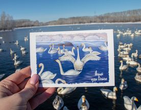 Пейзажи Алтая (группа до 6 чел.)