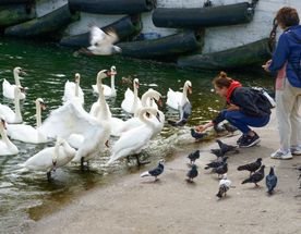 Другой Калининград