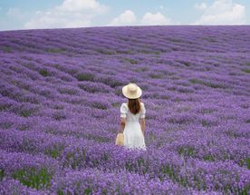 Конная разведка в Китай