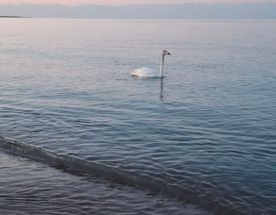 Киргизия вокруг Иссык-Куля