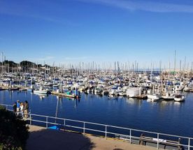 Там, где обрывается земля: Биг-Сур и секреты побережья