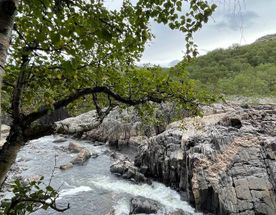 Мурманск. Ночное солнце