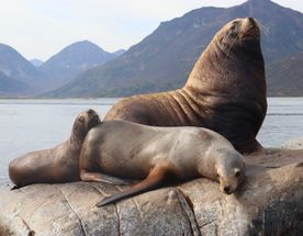 Камчатка. Бережное погружение.