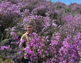 Туры на Алтай - по Чуйскому тракту до Алтайского Марса за 2 дня!