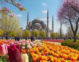 Symphony of Colors: Spring Trip to Istanbul!