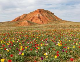 Луна и Марс: путешествие на Баскунчак и Богдо