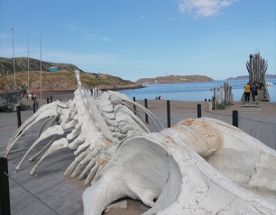 Кольский ближе, чем вам кажется!