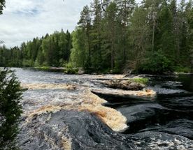 Сплав на байдарках по Керети и Белому морю