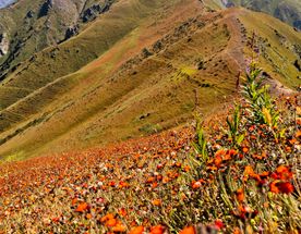 Пик Букреева (3010 м н.у.м.)