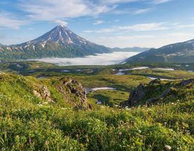 Максимум Камчатка. Комфорт Плюс