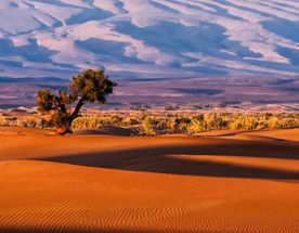 Тур в Намибию с сафари на 10 дней