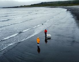 Полуострова Рыбачий и Средний, 3 дня на Кольском на максимуме!
