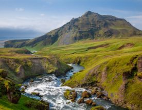 Путешествие в Исландию с биологом