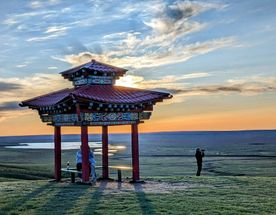 Калмыкия в пору цветения тюльпанов + тропою сайгака