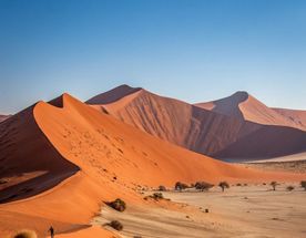 Джип-тур в Намибию: сафари, дюны и мистический мертвый лес