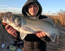 Рыболовный тур, 8 дней Мощной Рыбалки в Греции!