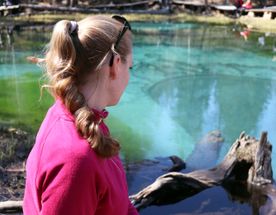 Алтайская кругосветка, группа до 5 человек