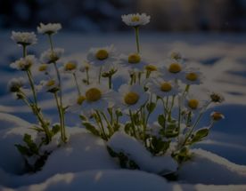 Ретрит Пробуждение