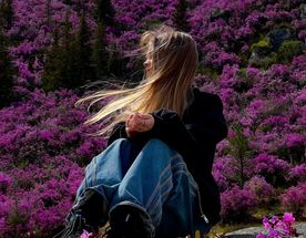 Цветение маральника на Алтае