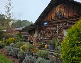 Ретрит йога тур на Алтай