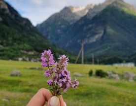 Домбай-Эльбрус: 5 ярких дней в горах!