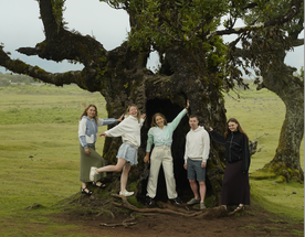 Madeira: 7 дней исследования острова