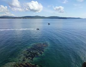 Приморский микс (лето)