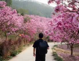 Авторский тур по Южному Китаю.