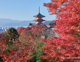 Япония: Погружение в историю и культуру самураев