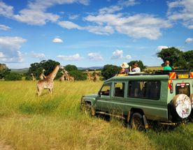 Великая миграция и вся Большая пятерка в лучших сафари Кении, Танзании и Занзибара