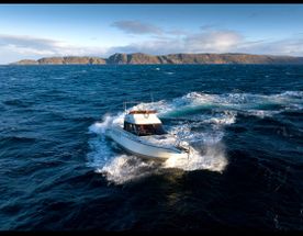 Териберка, Киты, Крабы, Баня. Всё Включено