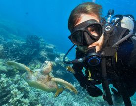 Дайвинг-приключение в Сиде