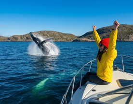 Премиум Териберка до 6 чел. Киты, Отель на берегу, Деликатесы, Сафари на квадрациклах