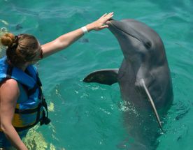 7 женщин. 7 закатов. Мальдивы с психологом-сексологом.