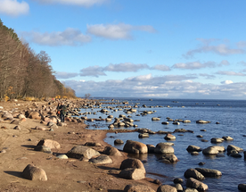 Белые ночи на Финском заливе