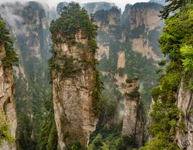 Тур-разведка по себестоимости: Шанхай+Горы Аватар