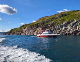 Китовые приключения