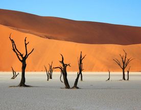 Намибия + Замбия + Зимбабве + Ботсвана