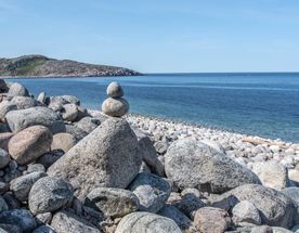 Арктическое лето