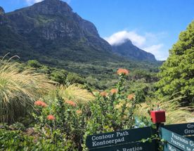 Контрасты Кейптауна: Ланга, великое вино и сады у Столовой горы