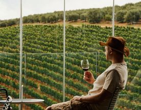 Юар: Кейптаун, киты, пингвины и винодельни