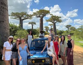 7 дней главные природные символы Мадагаскара