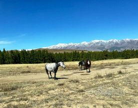 Алтайский край. Наследие Шукшина.