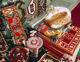 Восемь чудес Азербайджана: маршрут алычи и шафрана