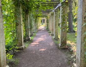 Экскурсия в Ораниенбаум с Меншиковским дворцом и Китайским дворцом