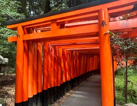 Япония в сезон багряных кленов: осень, суши и поезда-пули